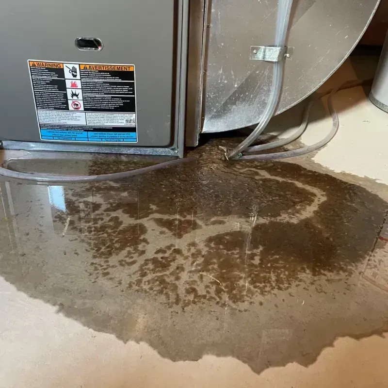 Appliance Leak Cleanup in Hydesville, CA